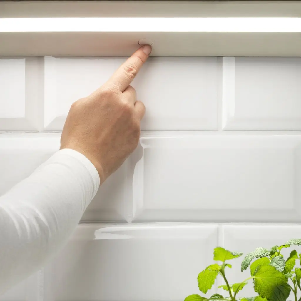 СЛАГСИДА — изображение 3