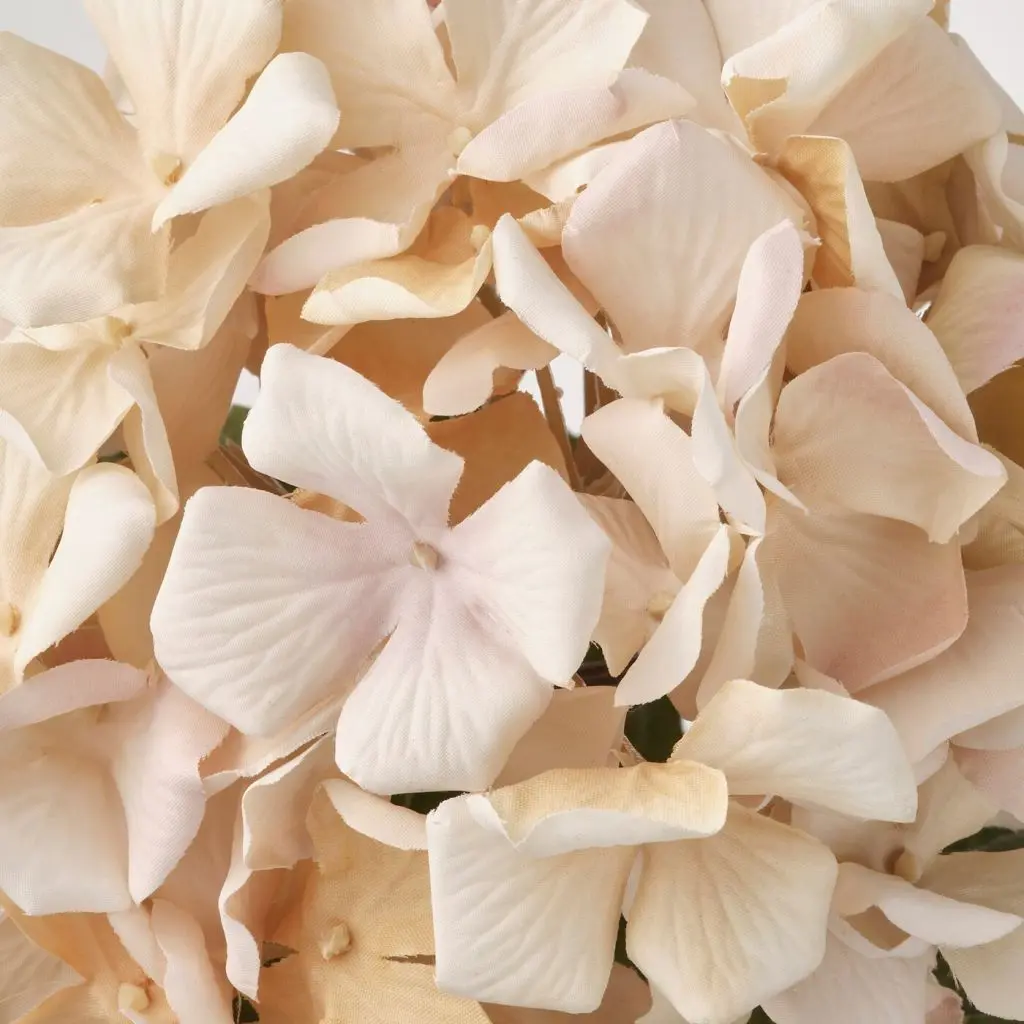 SMYCKA СМИККА — изображение 3