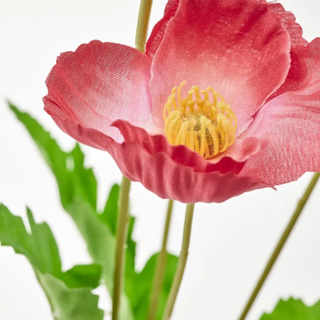 SMYCKA СМИККА — изображение 3