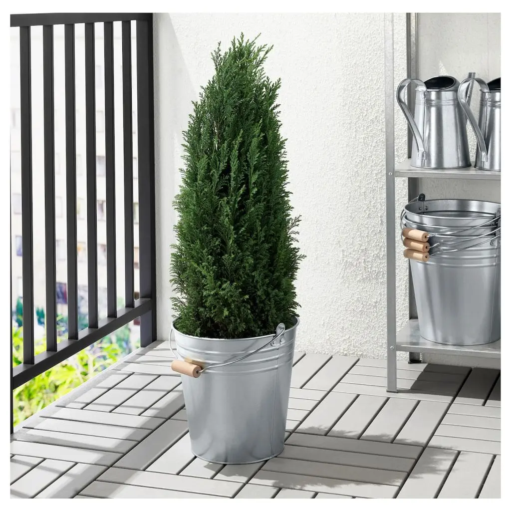 SOCKER СОККЕР — изображение 2