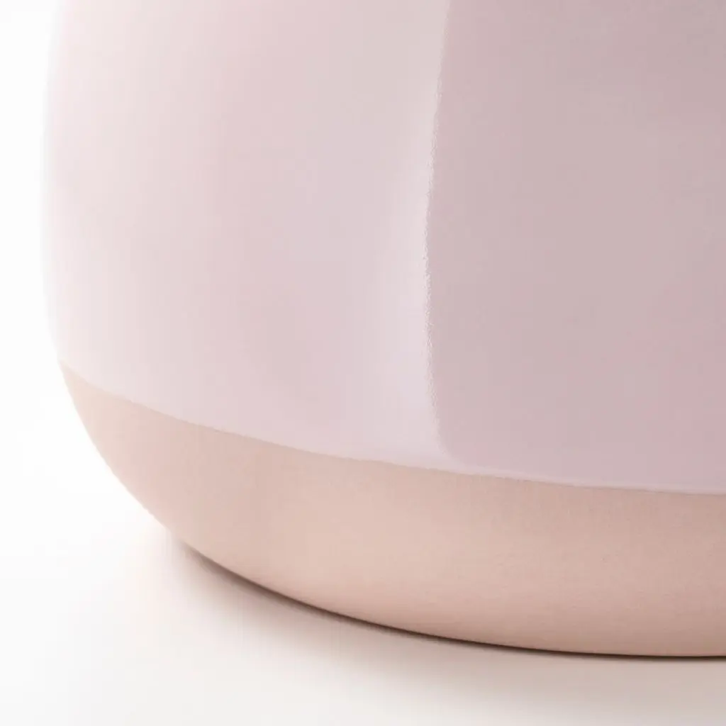 СУККУЛЕНТЫ — изображение 4