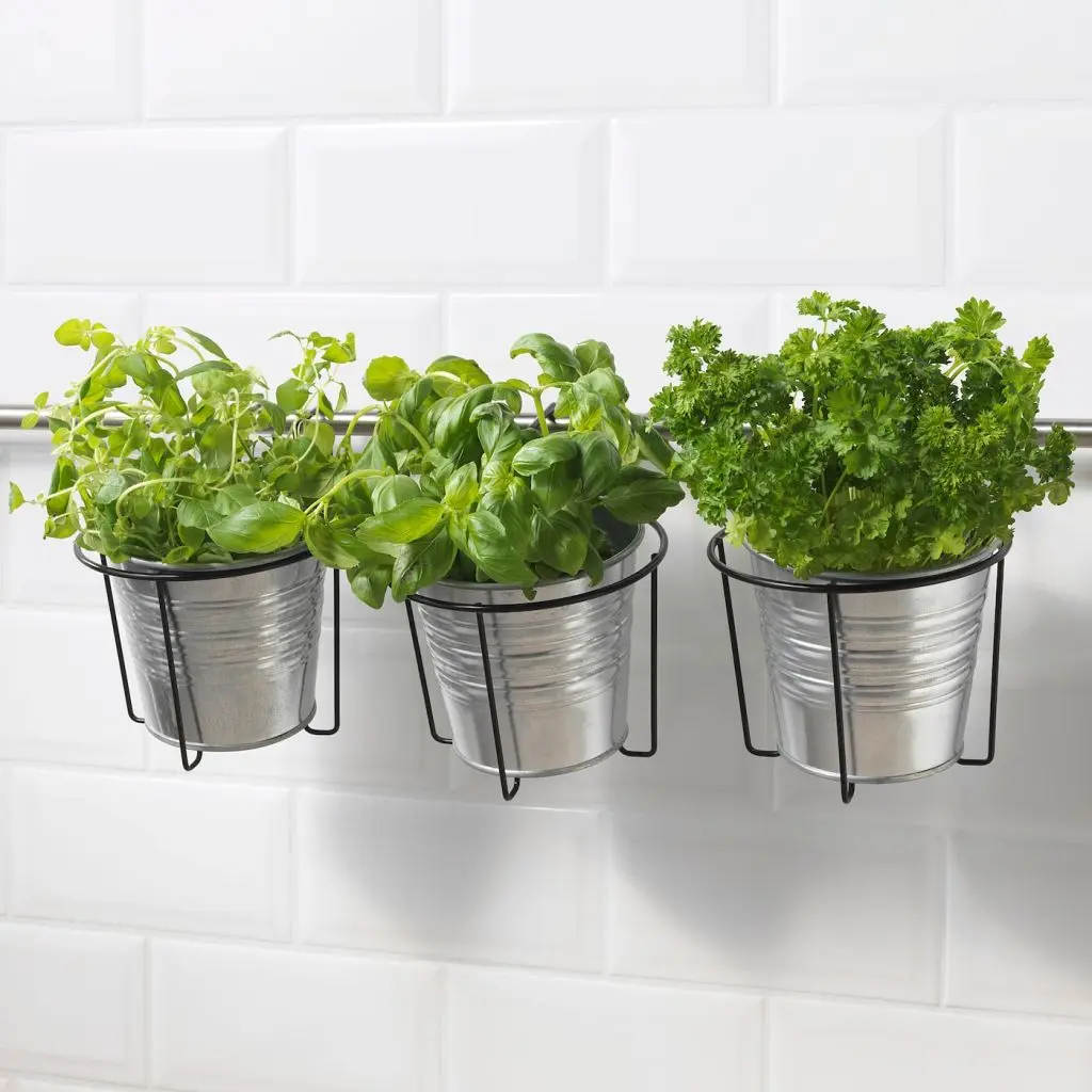 SVARTPEPPAR СВАРТПЕППАР — изображение 4