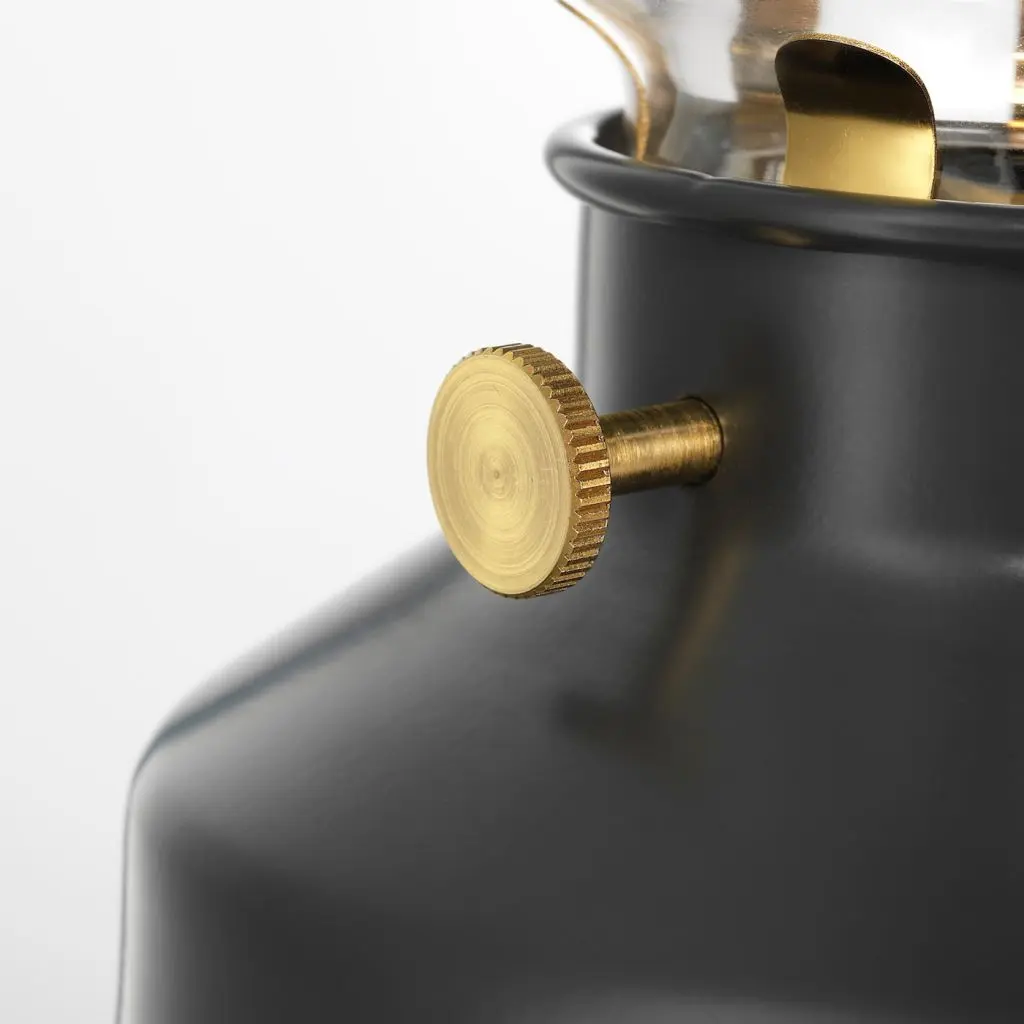 ТЭРНАБИ — изображение 3