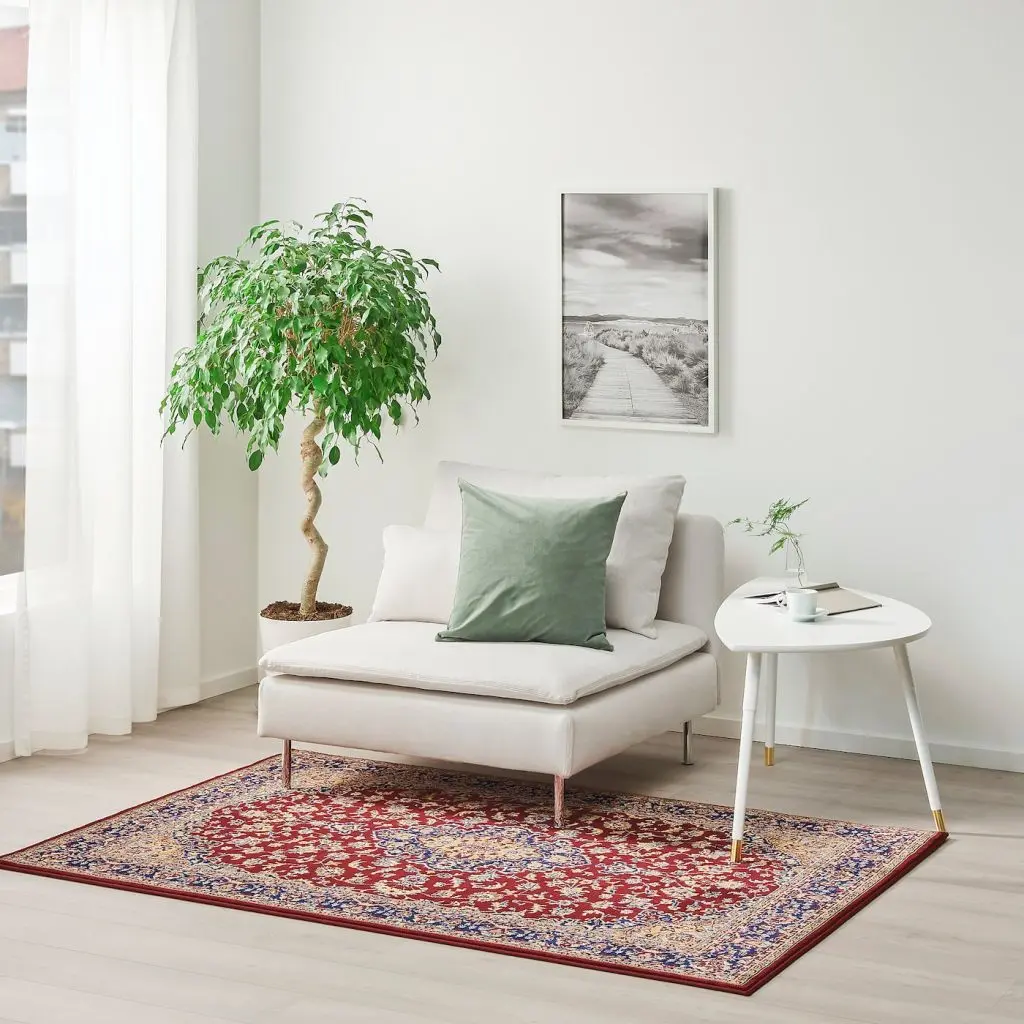 ВЕТБЭК — изображение 2