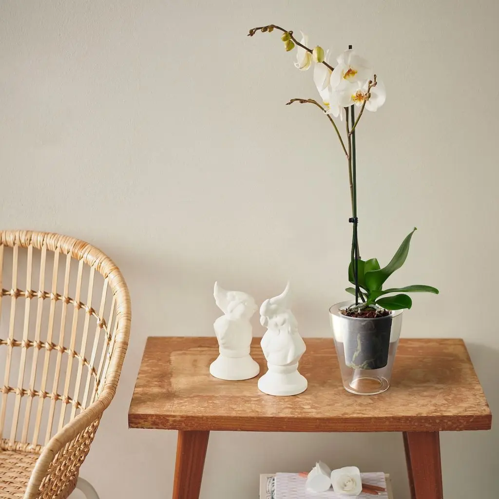 ВИНТЕРКИНДЕЛЬ — изображение 3