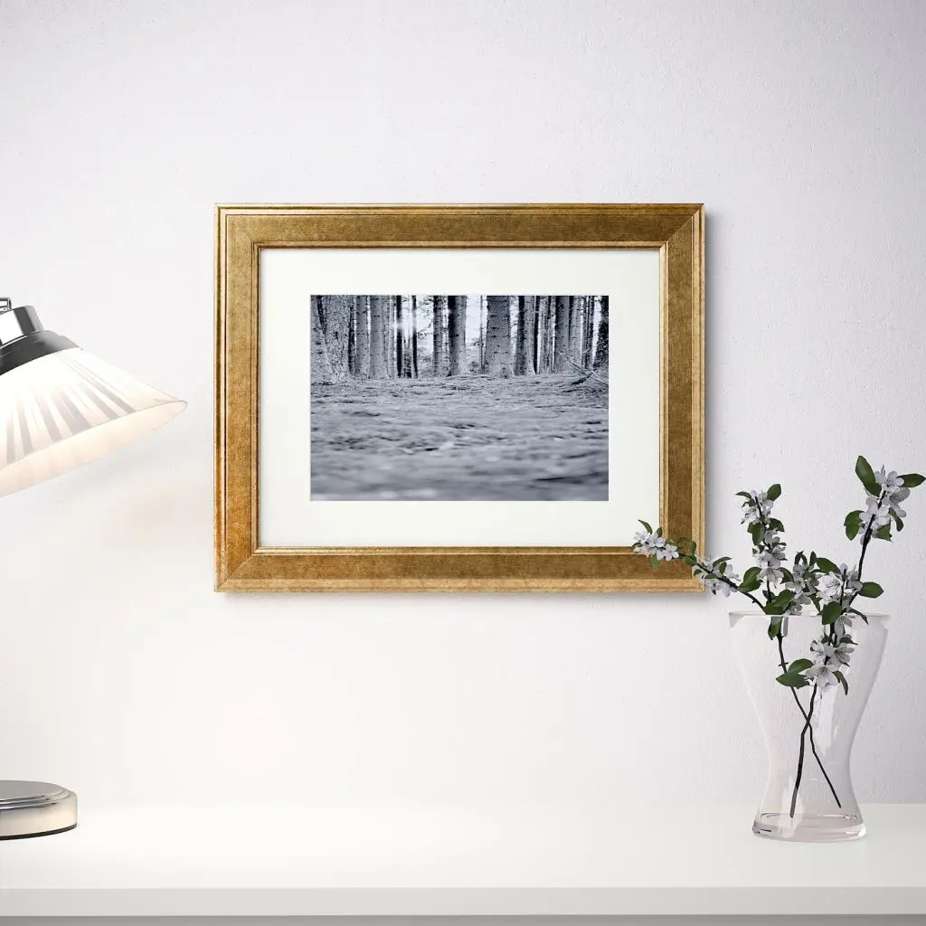 ВИРСЕРУМ — изображение 2