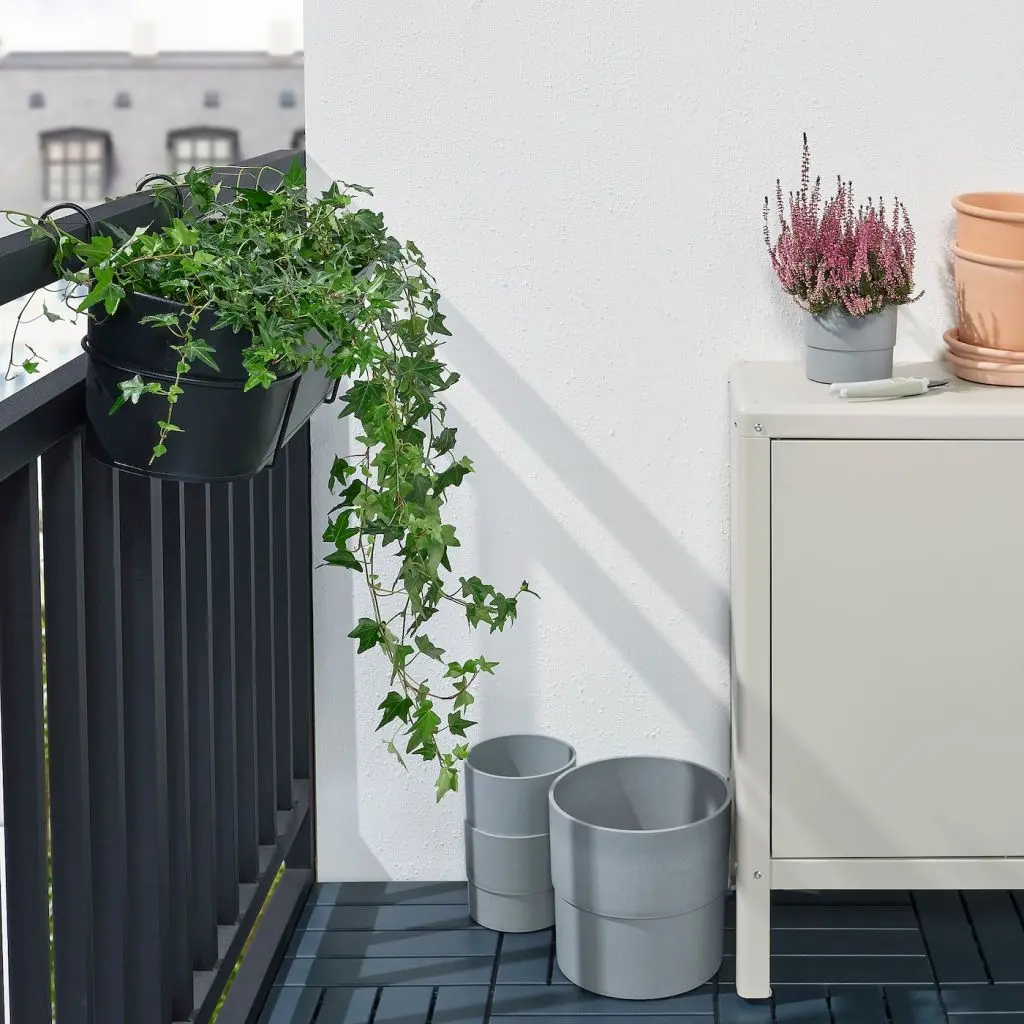 VITLÖK ВИТЛОК — изображение 2